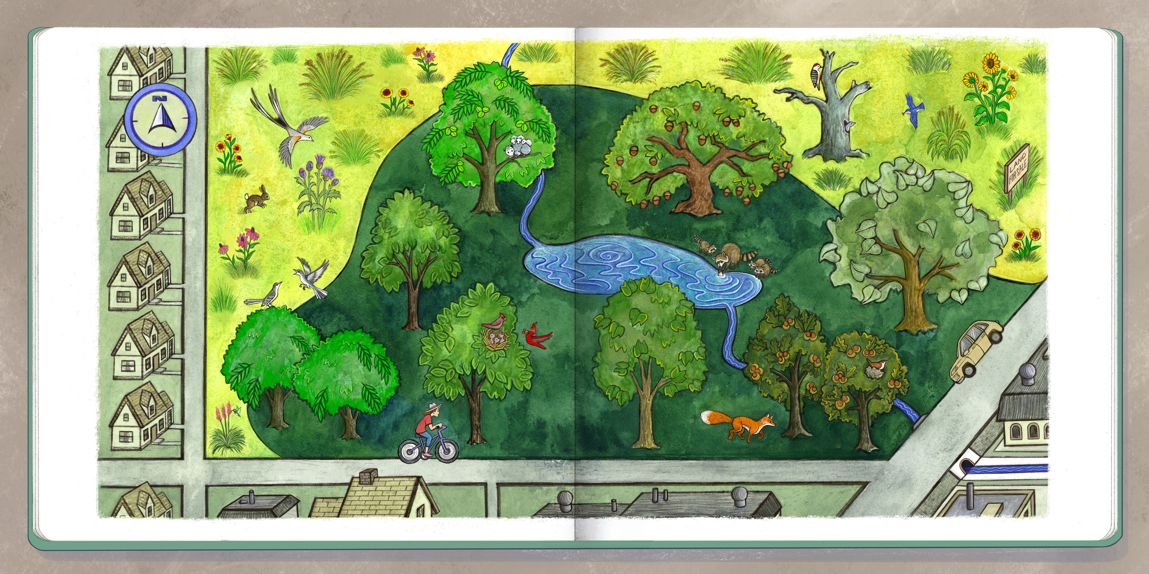 The Wetland Map BEFORE